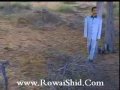 فيديو كليب خسرتيني - عبد الله الرويشد