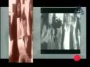 فيديو كليب ويلوموني - عمرو دياب