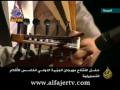 علاء الجلاد - هالزينات