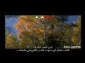 فيديو كليب رجعت من سفر - عمرو دياب